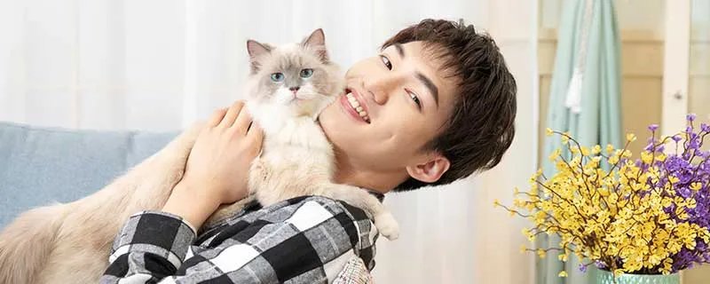 梦见猫挠我什么意思 梦见猫挠我有什么预兆