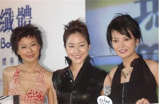 林嘉欣老公是谁比她大多少几个孩子 林嘉欣年轻时太漂亮了吧