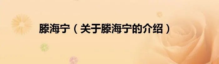 滕海宁（关于滕海宁的介绍）