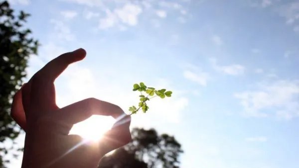 广东考生985分数误报到三本院校，他会怎么办？