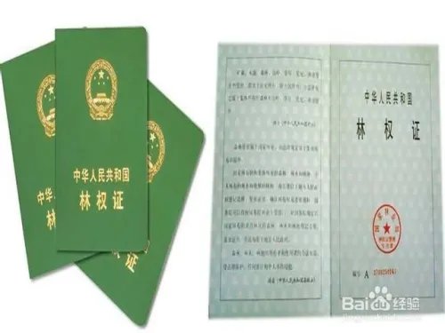 林木林地权属争议处理办法