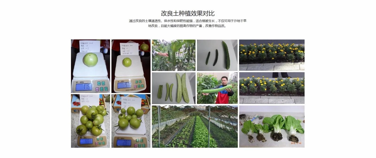 农轩有机肥质量怎么样？我最近想购买有机肥料，听说农轩有机肥质量挺好的，大家对有机肥可以交流一下！