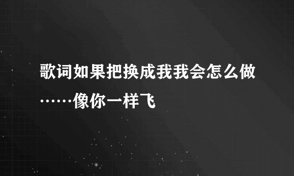 歌词如果把换成我我会怎么做……像你一样飞