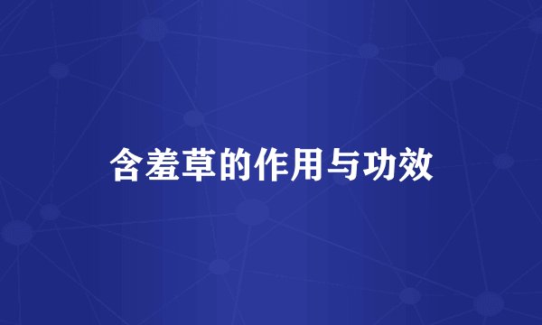 含羞草的作用与功效