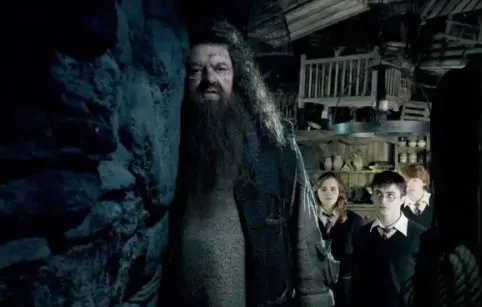 哈利波特海格扮演者去世，为何JK罗琳说他是个天才？