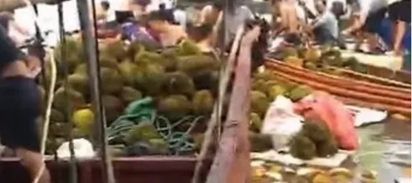 广西哄抢榴莲的村民食物中毒，这是谁的责任？