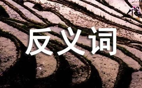 落落大方的反义词是什么