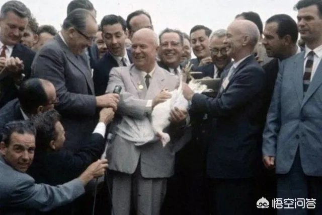 普京为何要求不要再与美国就裁军问题举行会谈，但强调俄方以前提出过的建议仍然有效？