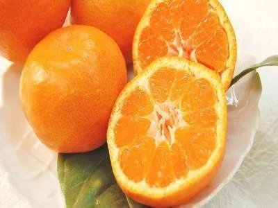 中国十大橘子产地