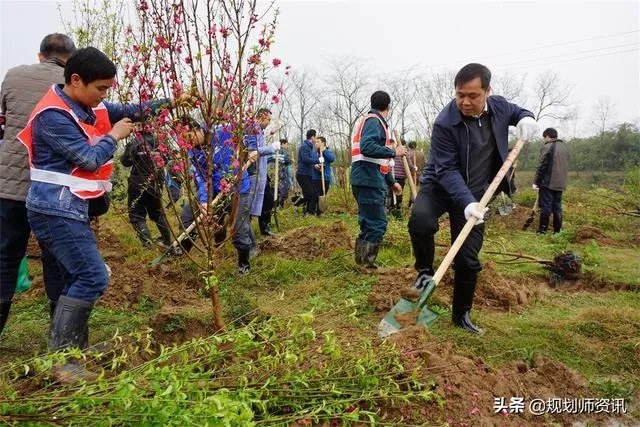 央视网评娱乐歪风