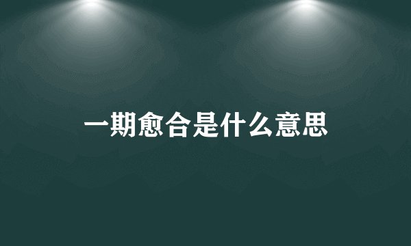 一期愈合是什么意思