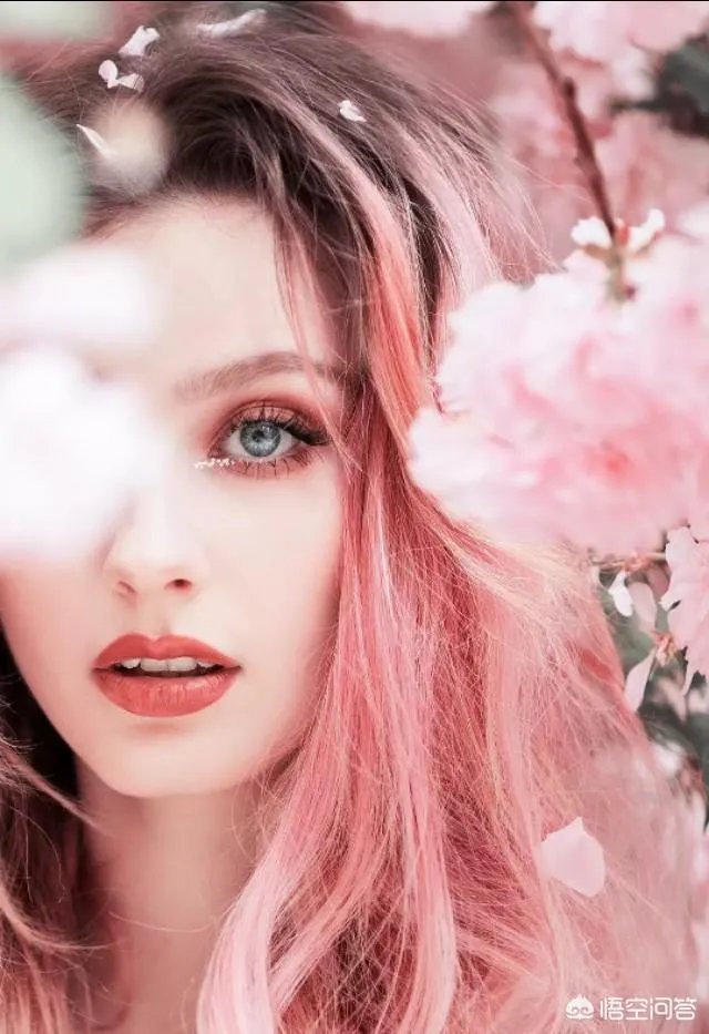 为什么糖水片往往在朋友圈有很高的点赞率，但却得不到摄影大咖们的认可？