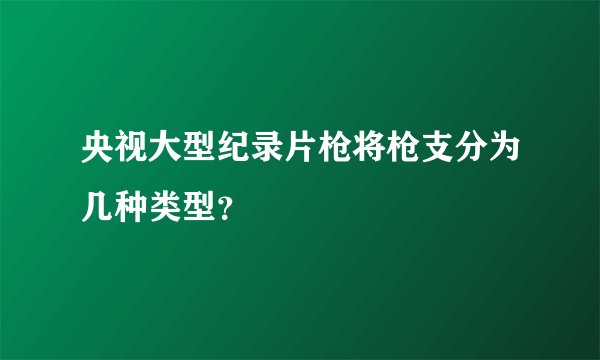 央视大型纪录片枪将枪支分为几种类型？