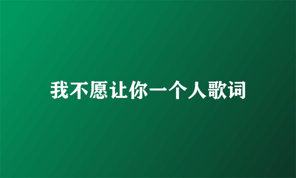 我不愿让你一个人歌词