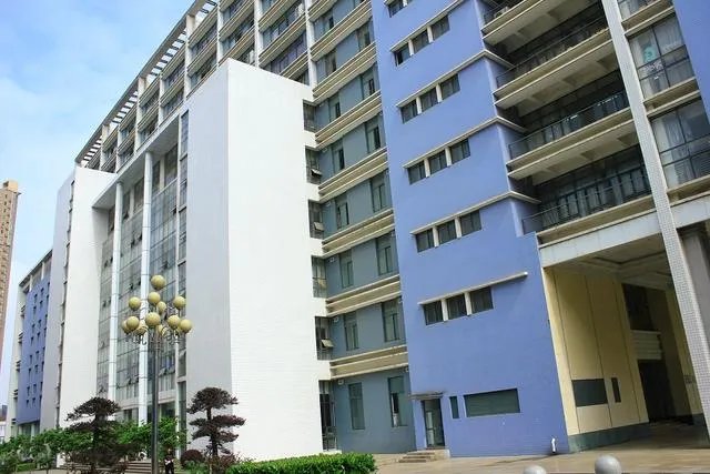 武汉长江职业学院全国专科排名第几？