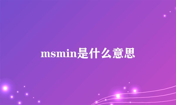 msmin是什么意思