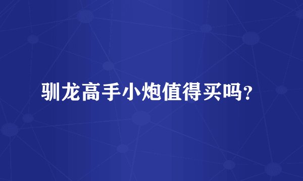 驯龙高手小炮值得买吗？