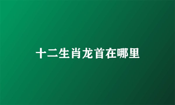 十二生肖龙首在哪里