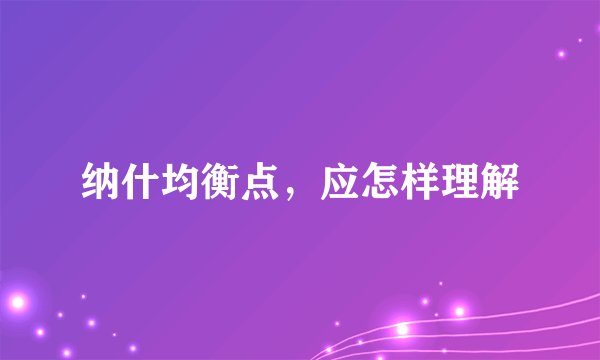 纳什均衡点，应怎样理解