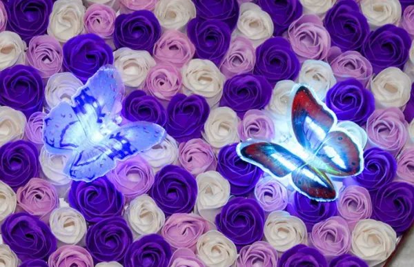 1到100朵玫瑰花语是什么？