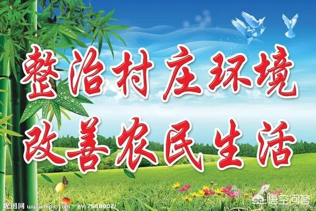 央视网评娱乐歪风