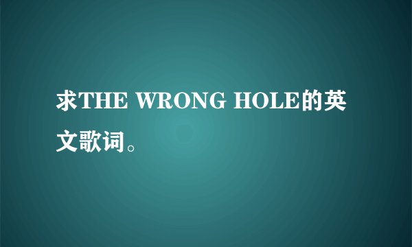 求THE WRONG HOLE的英文歌词。