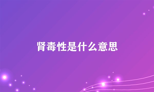 肾毒性是什么意思