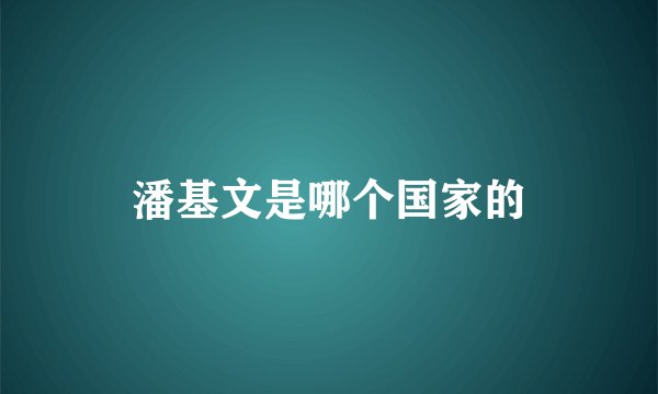 潘基文是哪个国家的