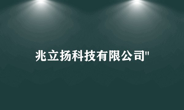 兆立扬科技有限公司