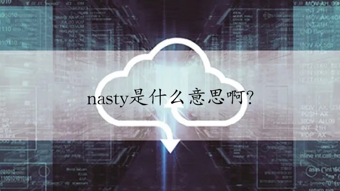 nasty是什么意思啊？