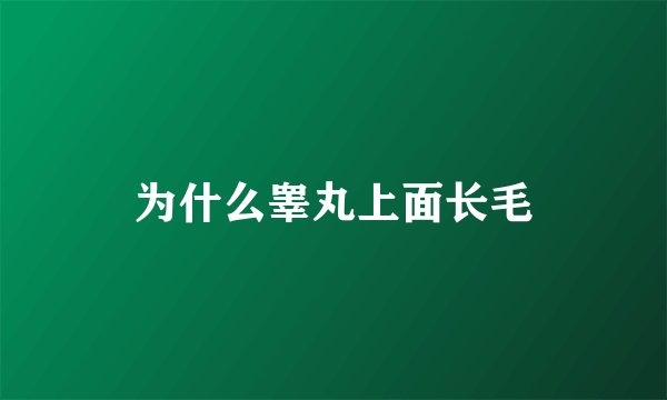 为什么睾丸上面长毛