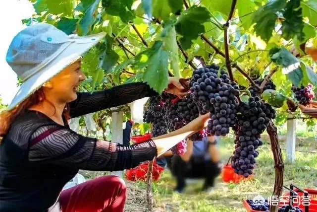 在乡村建设一栋诗意栖居的乡村别墅是否可行？