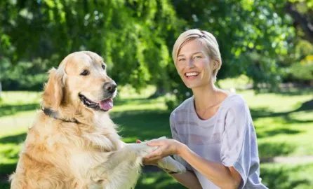 养大狗的女人是什么心态