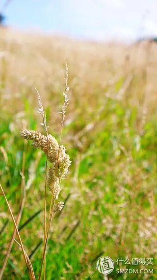 谢谢你陪我走过那段路  Panasonic  松下  Lumix  LX2  数码相机