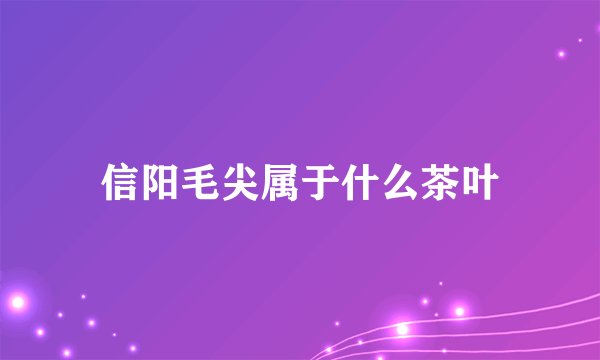 信阳毛尖属于什么茶叶