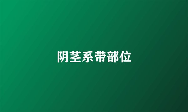 阴茎系带部位