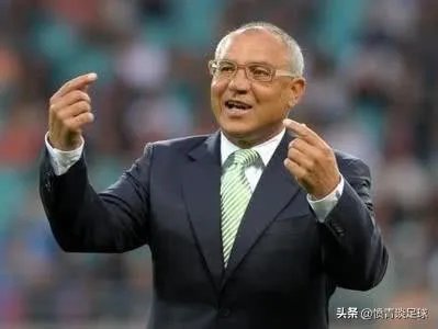 如果李铁挂帅国足，武汉卓尔请来前山东鲁能主帅马加特执教，结果会怎么样？