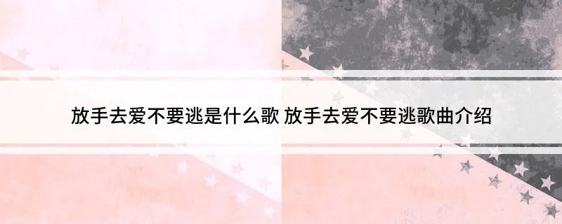 放手去爱不要逃是什么歌 放手去爱不要逃歌曲介绍
