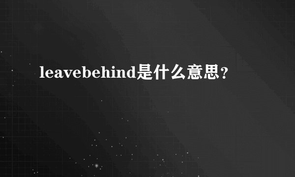 leavebehind是什么意思？