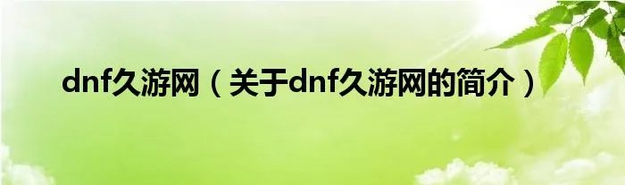 dnf久游网（关于dnf久游网的简介）