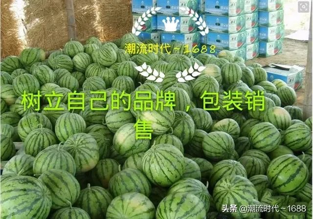 西瓜滞销的原因有哪些？农村地区公路限高会导致滞销吗？农民该如何应对？