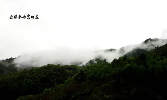 云横秦岭家何在是什么意思