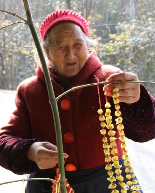 成都86岁“梅花婆婆”销售梅花引发网友讨论，你怎么想？