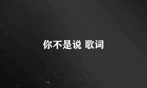 你不是说 歌词
