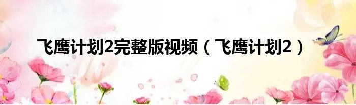 飞鹰计划2完整版视频（飞鹰计划2）