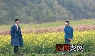 山楂树之恋原型 大家可以去了解一下