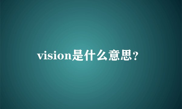 vision是什么意思？