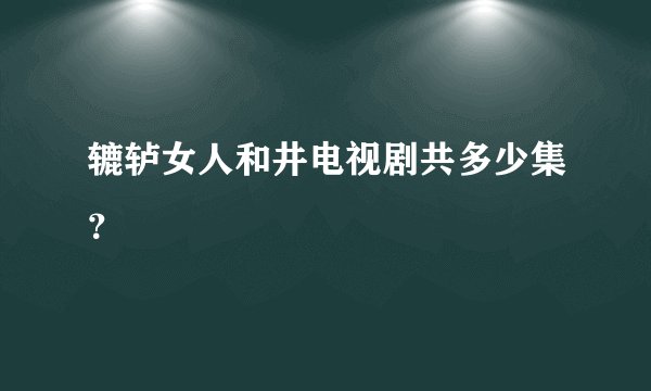 辘轳女人和井电视剧共多少集？