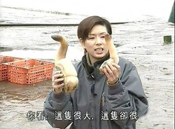 象拔蚌什么梗？