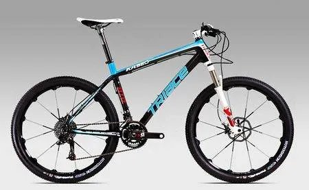 骓驰是什么意思